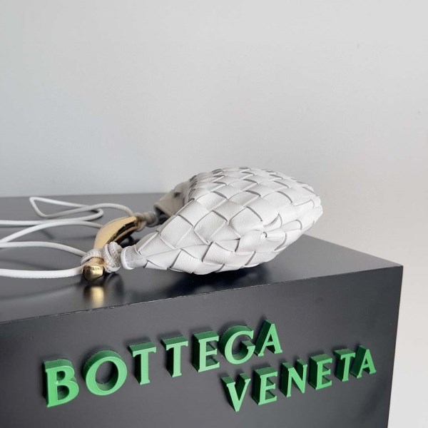 Elevating Fashion: The Bottega Veneta Sardine Bag vs. Traditional Luxury Handbags